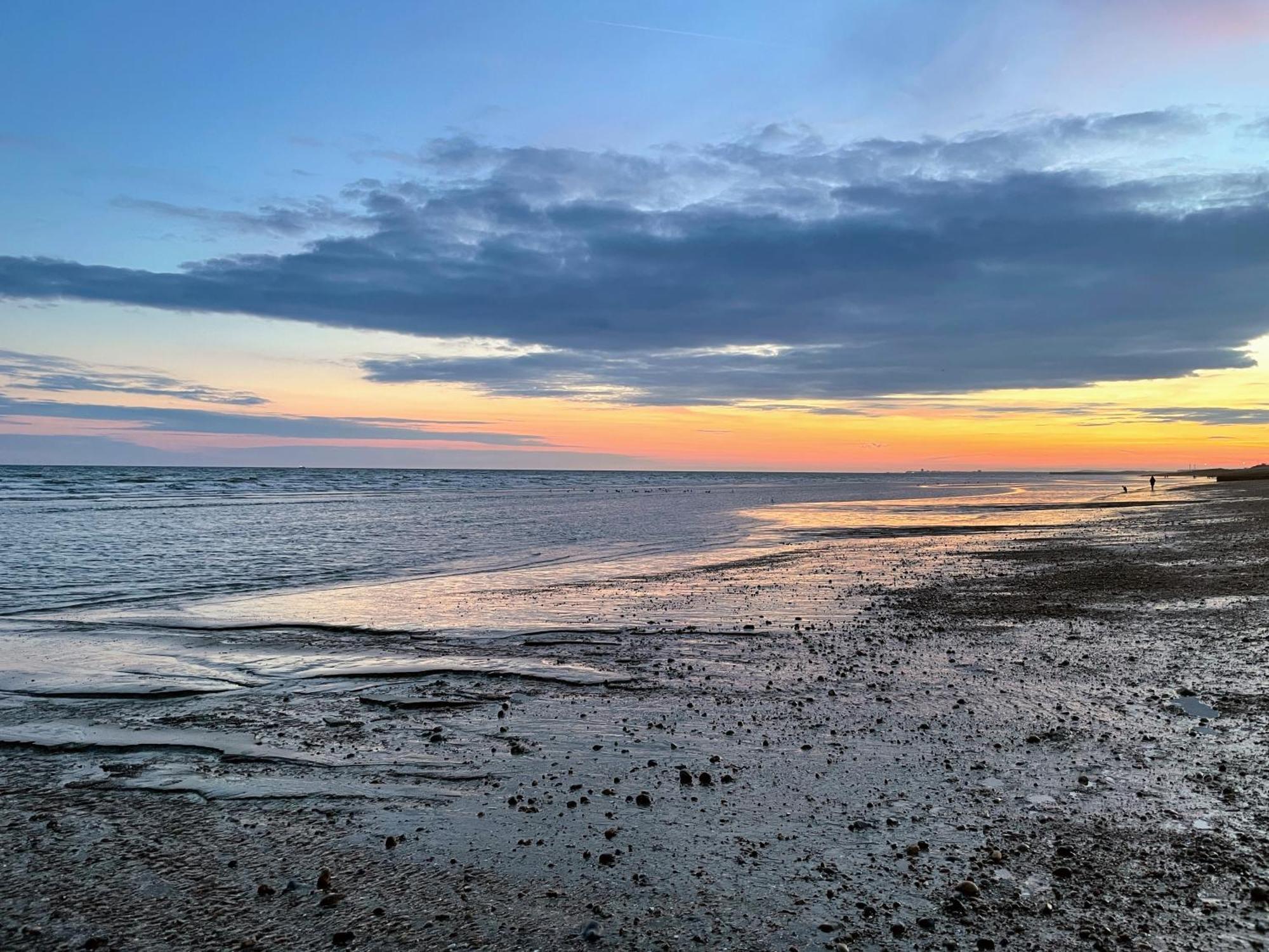 布赖顿Seafront Medina公寓 外观 照片